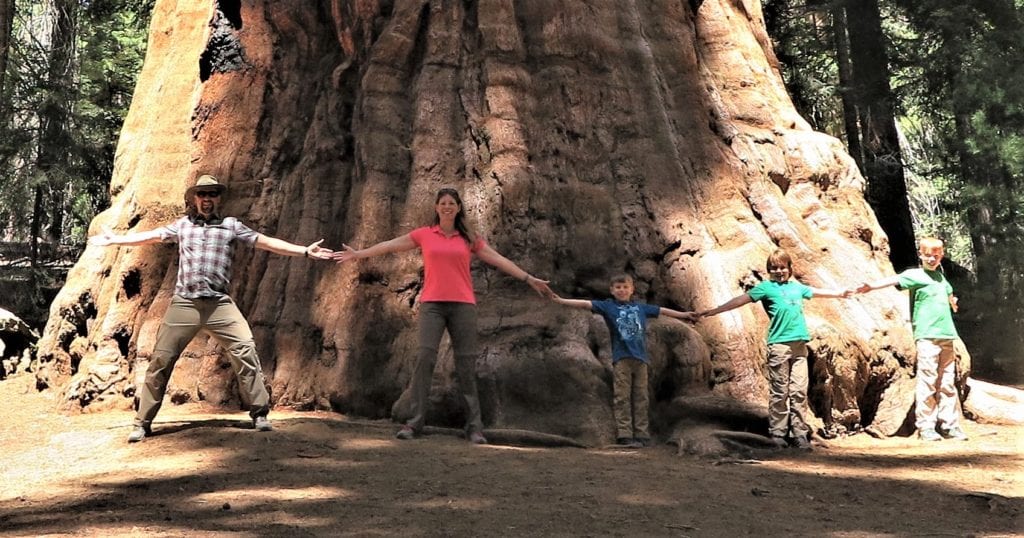 "The President" at Sequoia National Park is wider than 5 people with arms out stretched (California)