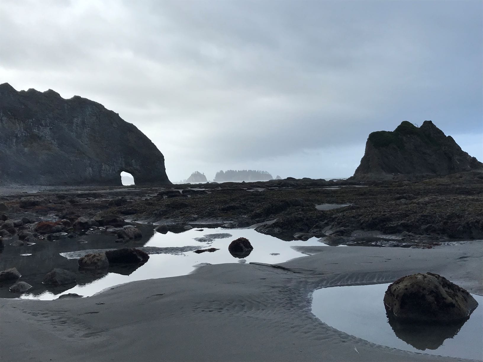 Things to Do on the Olympic Peninsula