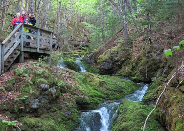 Lush Green Hike on Dickson Falls Trail, Canada - great family photo spot
