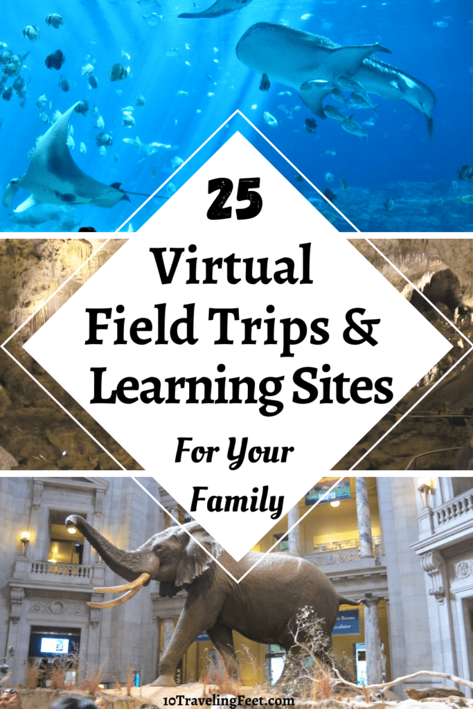 free virtual field trips for kids