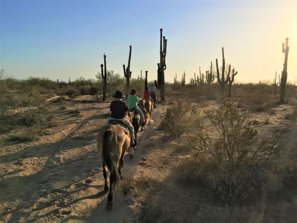Macdonalds Ranch horseback sunset ride among cacti, Arizona