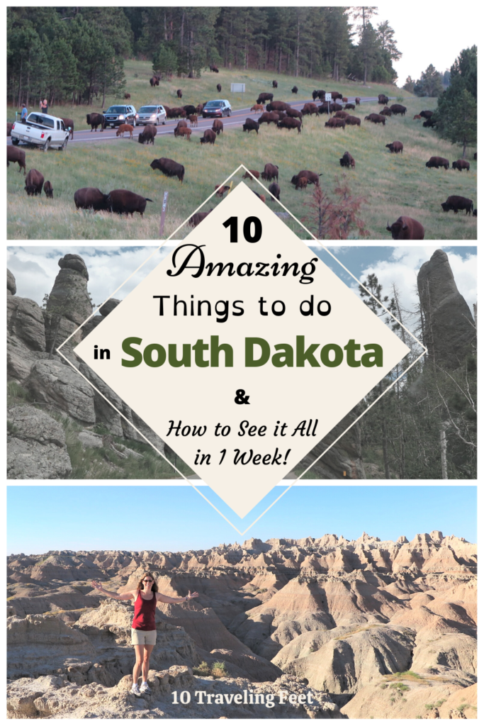 South Dakota Pin