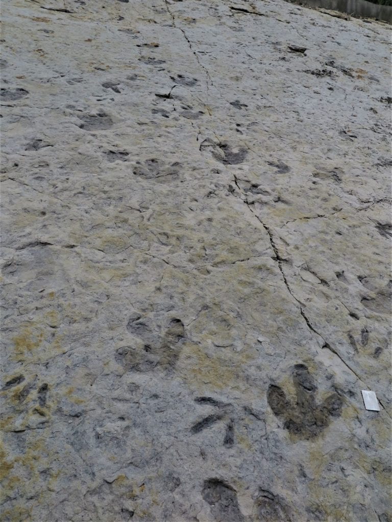 Dinosaur Ridge footprints, Colorado
