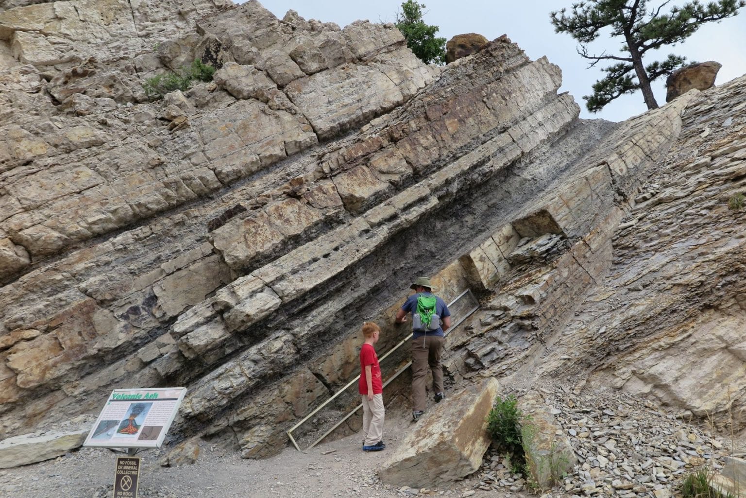 Dinosaur Ridge: Walk Next to 300+ Real Tracks in Colorado! - 10 ...