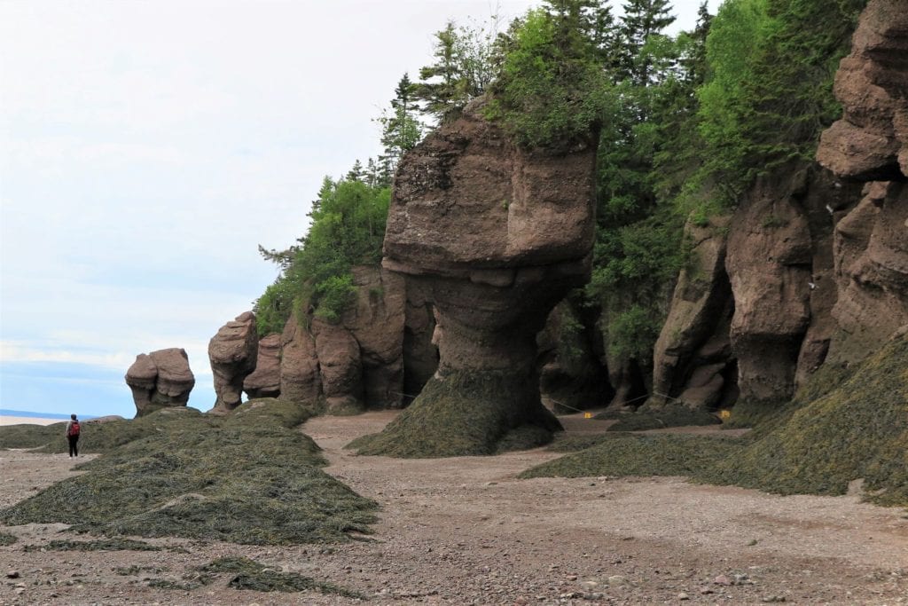 Hopewell Rocks, NB: How to See the World's Largest Change in Tides