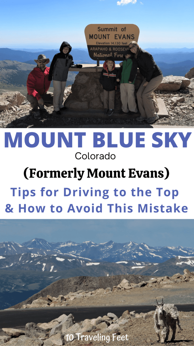 Mount Blue Sky, Colorado Pin