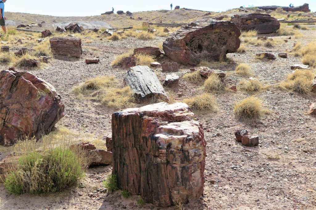 Huge pieces of petrified wood at Giant Logs Loop, Petrified Forest National Park, Arizona
