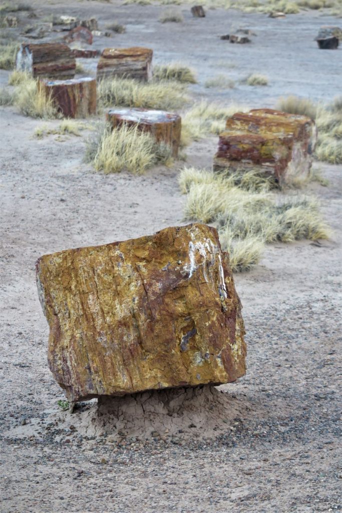 Petrified Wood that appears almost to be floating - Crystal Forest Loop. Petrified Forest, Arizona