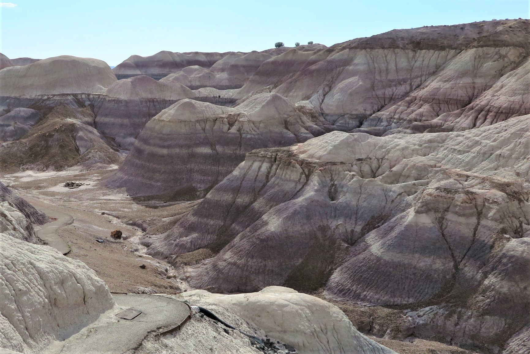 How to Best Visit Petrified Forest / Painted Desert, AZ (Top Sites ...