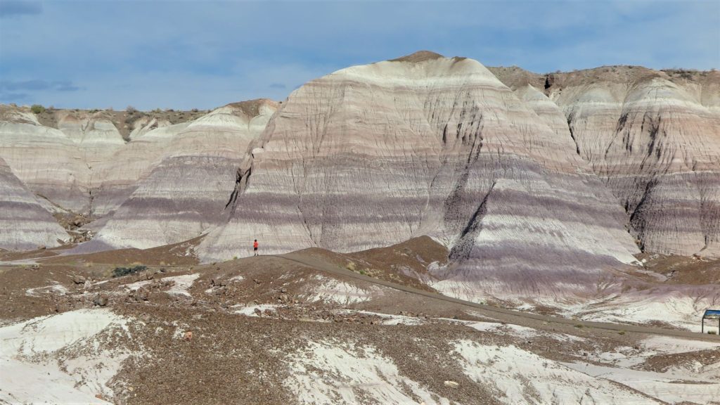Blue Mesa Trail, Petrified Forest, Arizona - Gorgeous purple, pink and blue colors on this top Arizona Trail to Hike with Kids