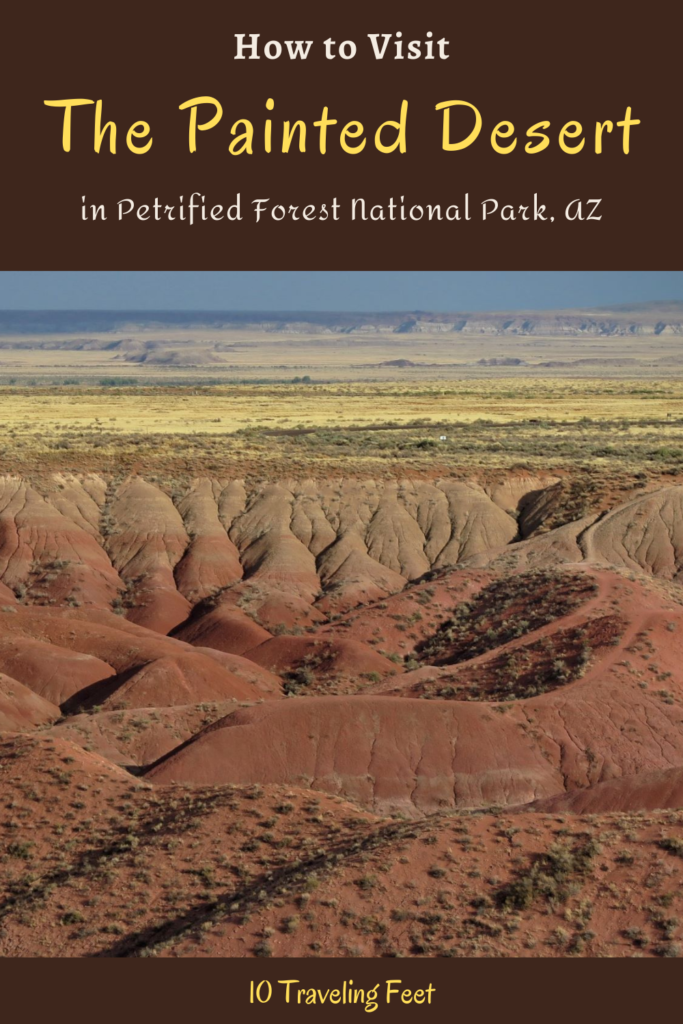 Petrified Forest Painted Desert Pin
