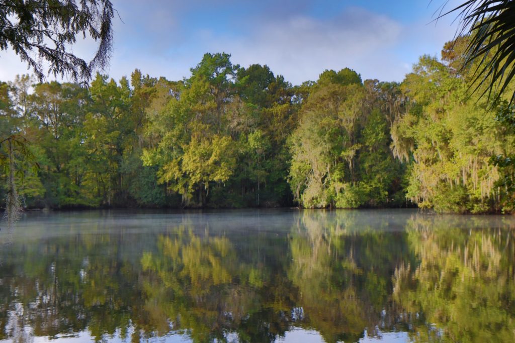 Lakes near Rainbow River, FL