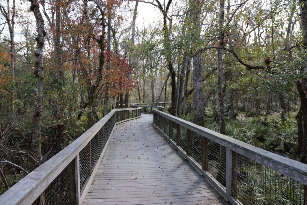 Brooker Creek Nature Preserve, FL -Education Center Trail