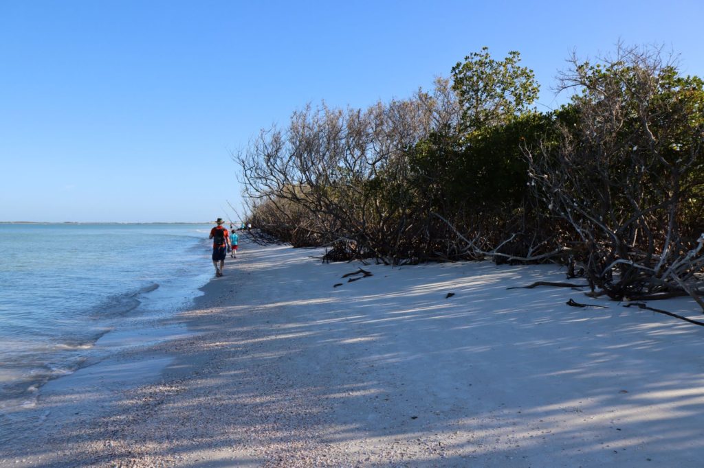 Caladesi Island Walk - at Low Tide - Florida