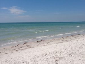 40 Fantastic Things to Do in Pinellas County with Kids! (St. Petersburg ...