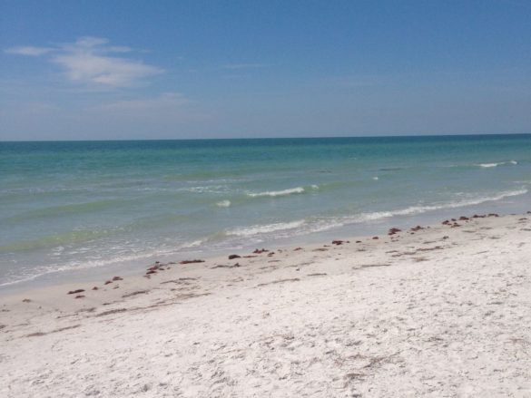 10 Gorgeous Beaches, near Clearwater Beach, That Locals Love (+Tips for ...