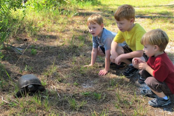 Alligator Alley Trail: A Spectacular Family Hike At Circle B Bar ...