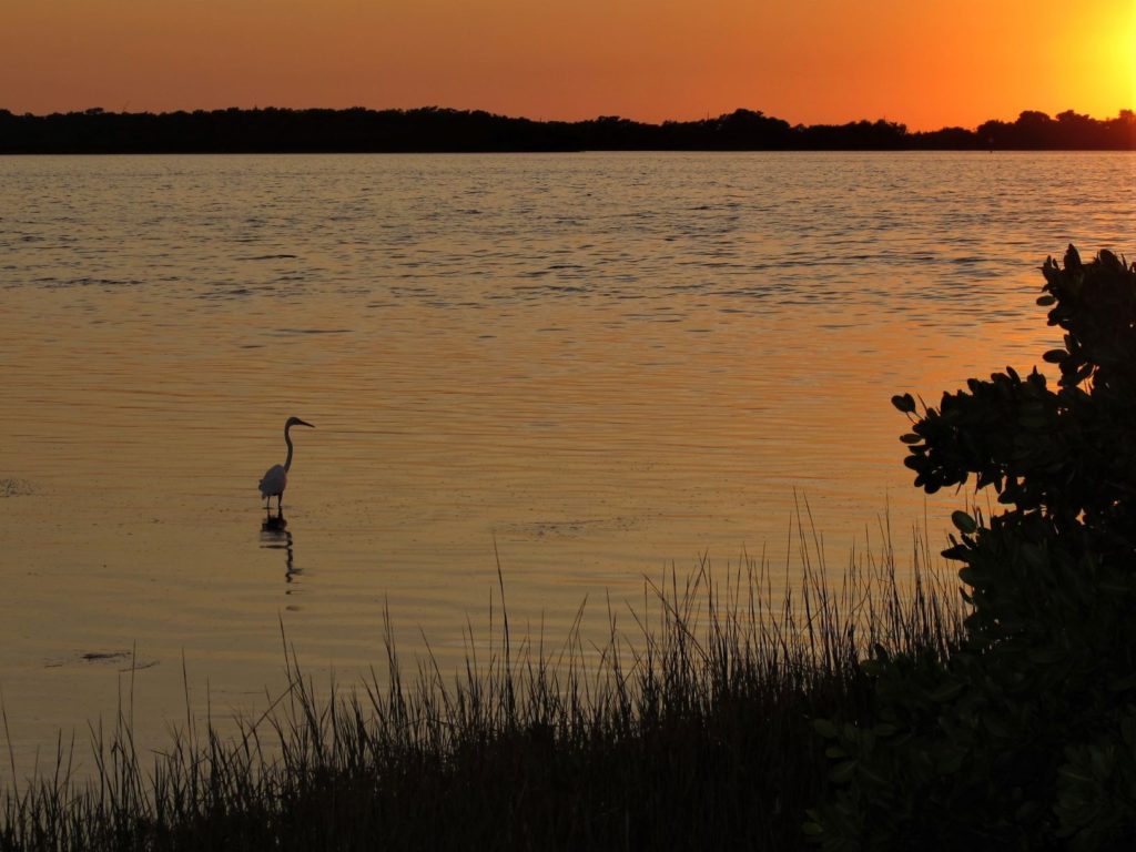 Fort de Soto at Sunset with a bird wading in the water, Florida