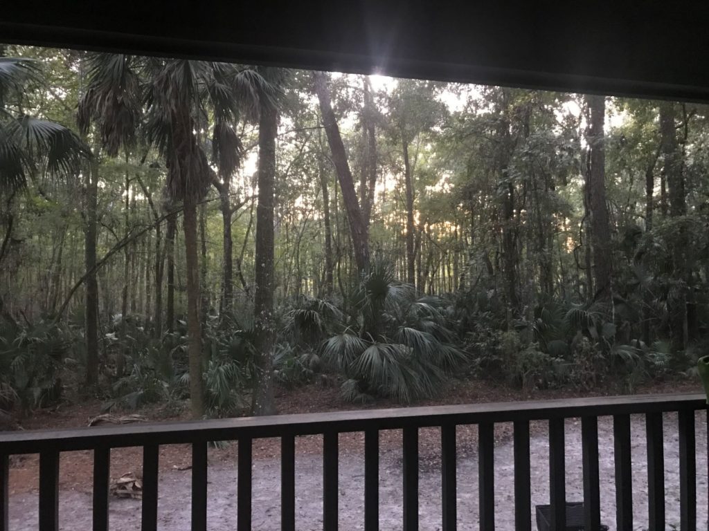 the view from our cabin at Rainbow River Club