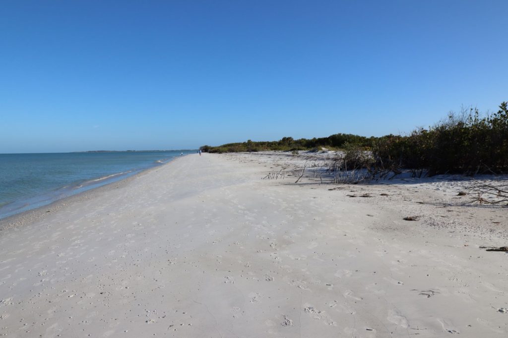 White sand beach at Caladesi Island, Florida