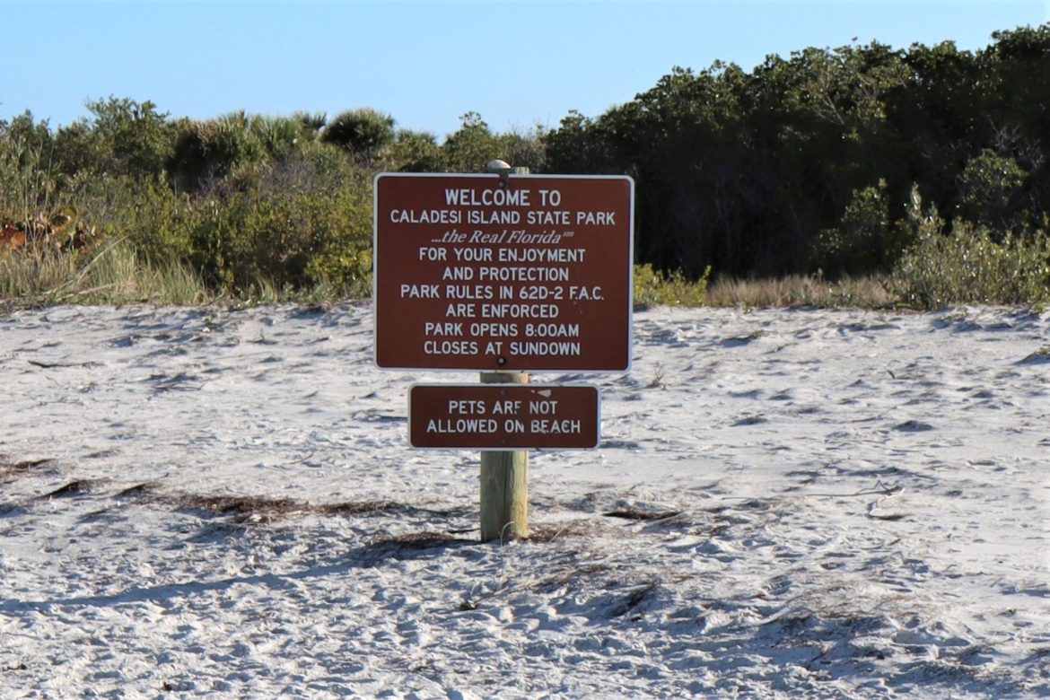 Caladesi Island: How to Walk Here From North Clearwater Beach - 10 ...