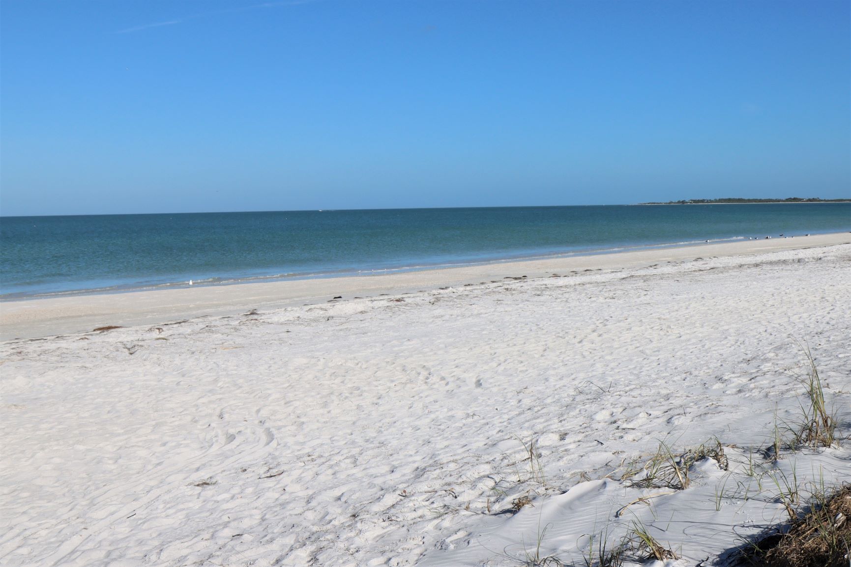 Caladesi Island: How to Walk Here From North Clearwater Beach - 10 ...