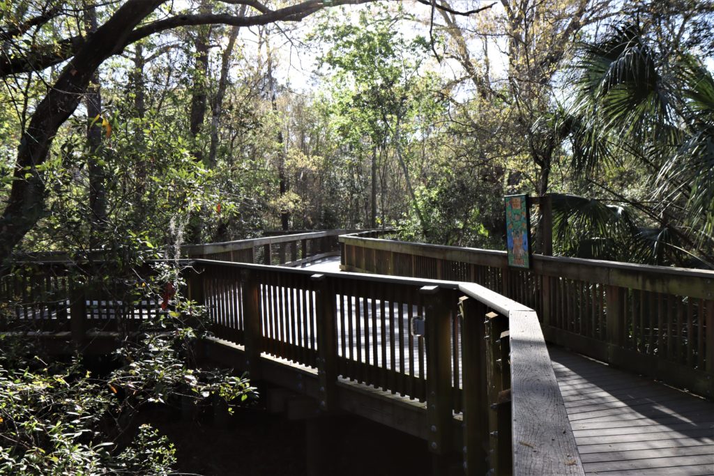 Florida Botanical Gardens boardwalk