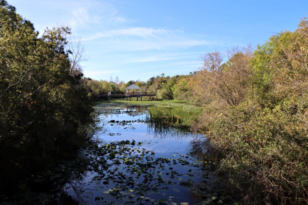 Florida Botanical Gardens natural waterway
