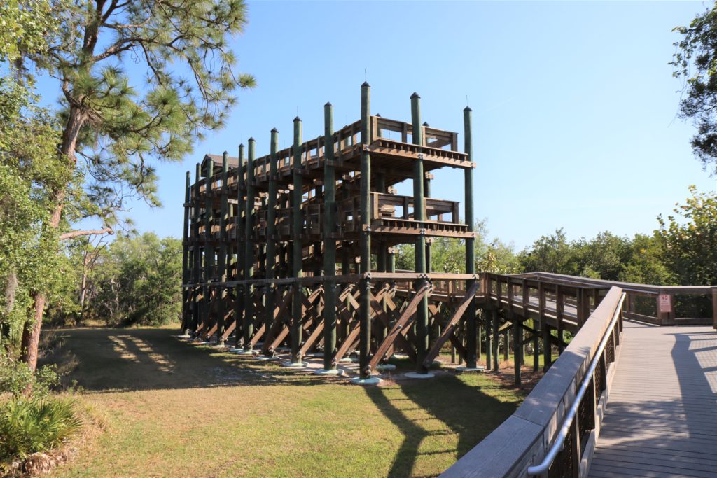 Wall Springs Park, Florida - Wooden Observation Tower