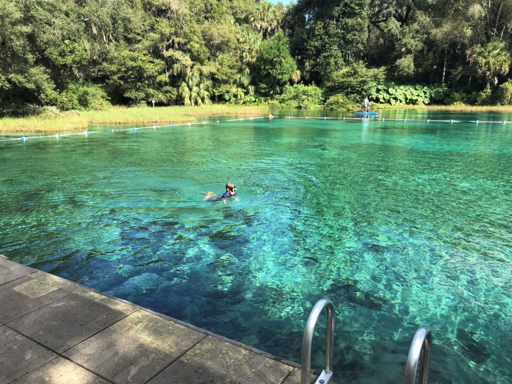 Rainbow Springs State Park Discover Breathtaking Crystal Clear Waters 10 Traveling Feet 7793