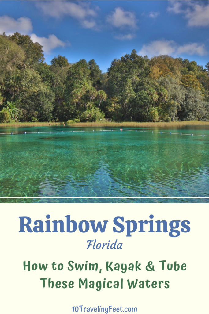 Rainbow Springs Pin