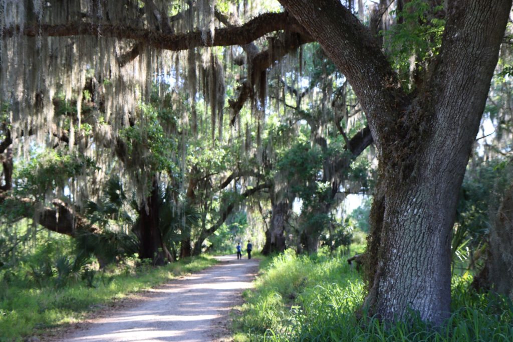 Alligator Alley Trail A Spectacular Family Hike at Circle B Bar