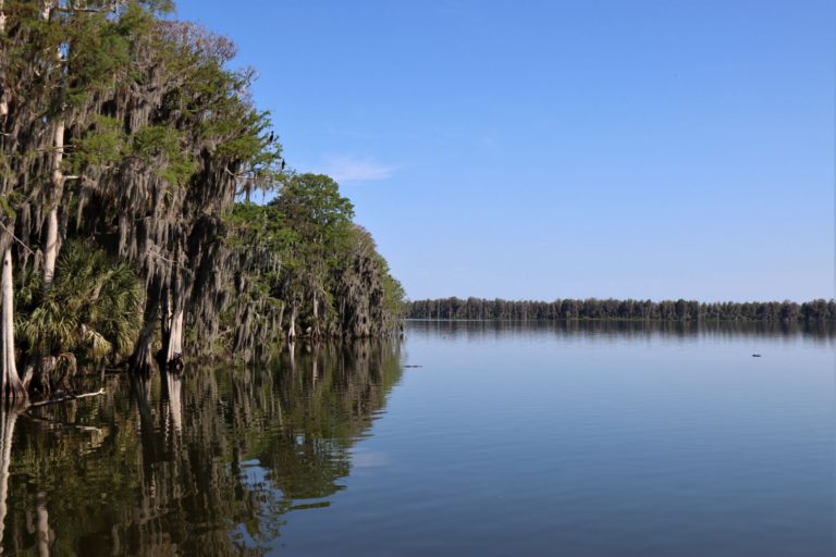 Alligator Alley Trail: A Spectacular Family Hike At Circle B Bar ...