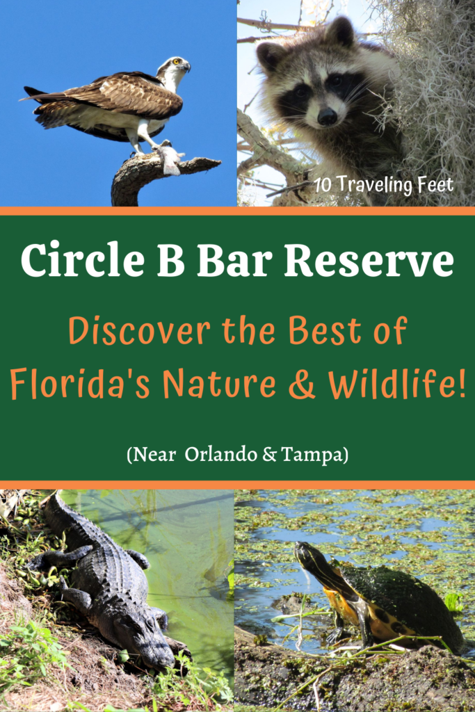 Circle B Bar Reserve Pin