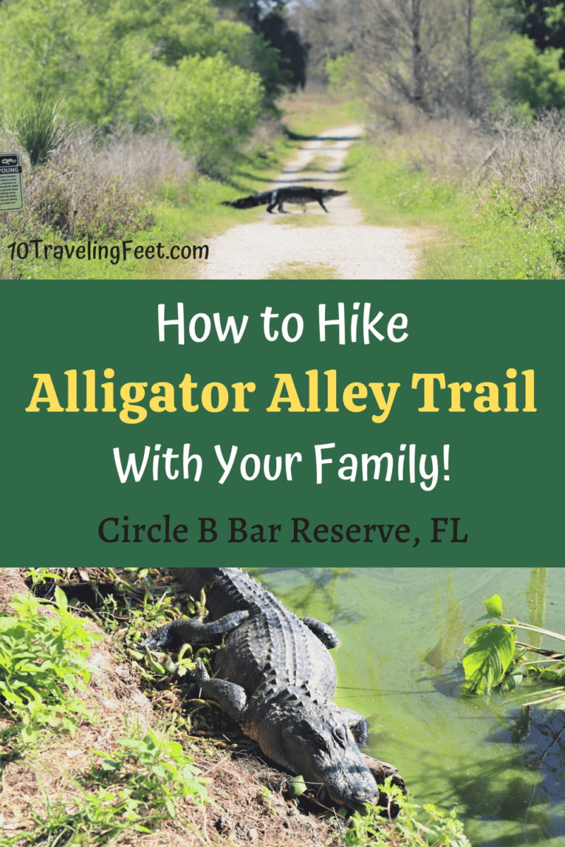 Alligator Alley Trail Florida