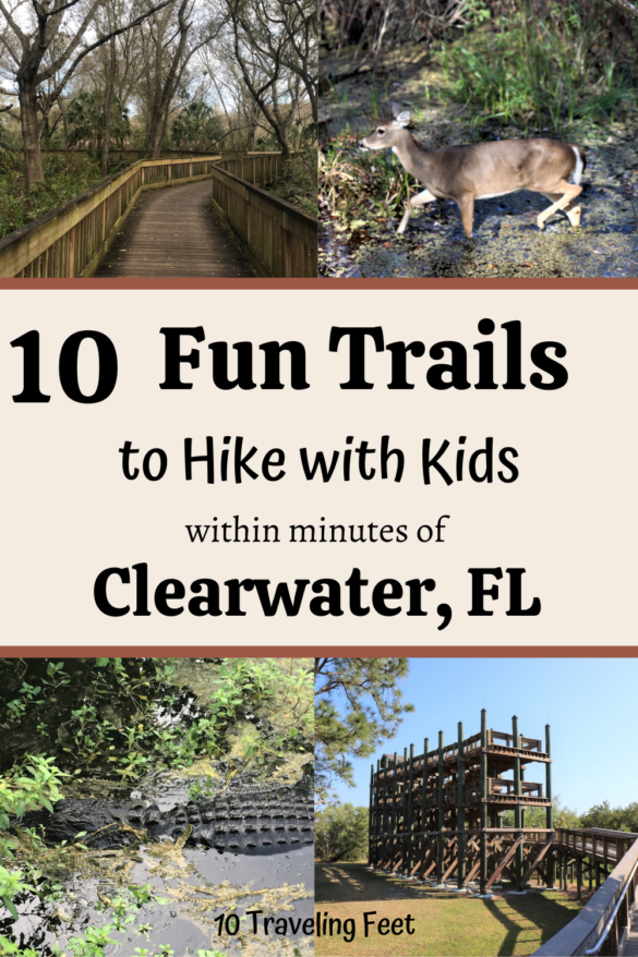 10 Fun Trails To Hike In Pinellas County, FL With Kids! - 10 Traveling Feet