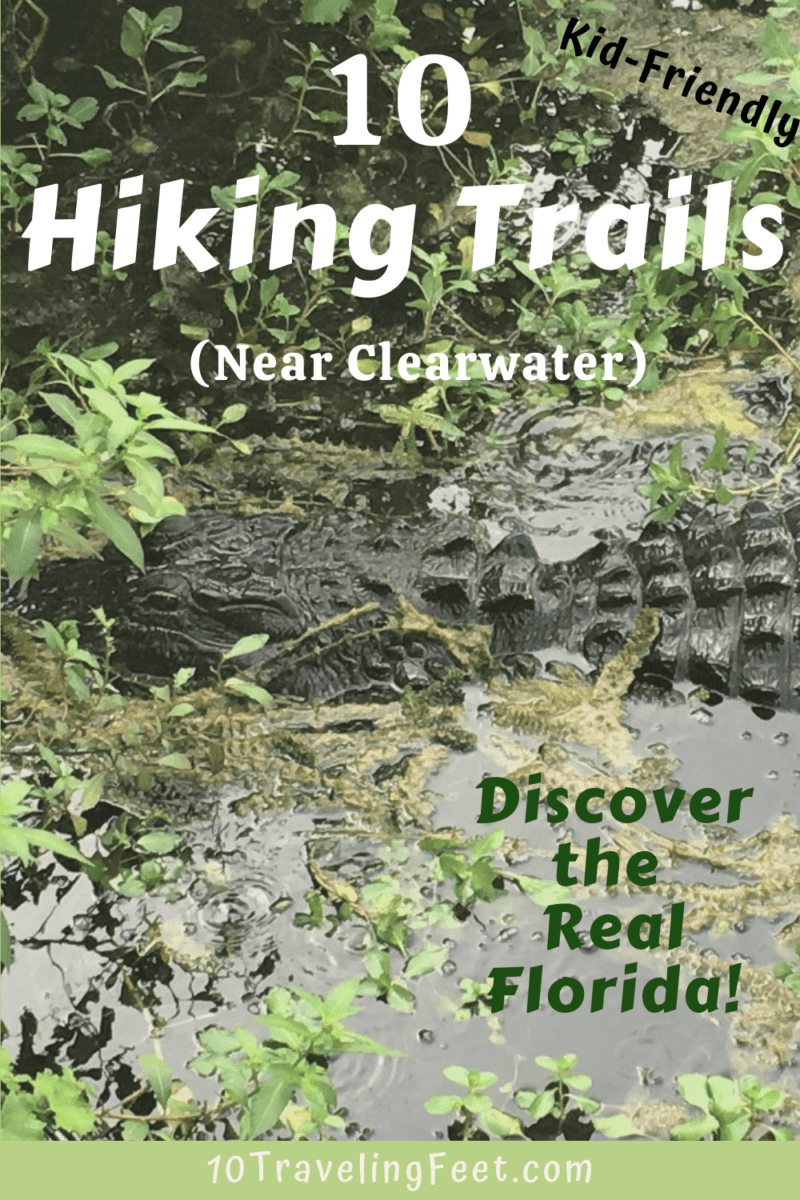 Pinellas Hiking Trails, Florida Pin