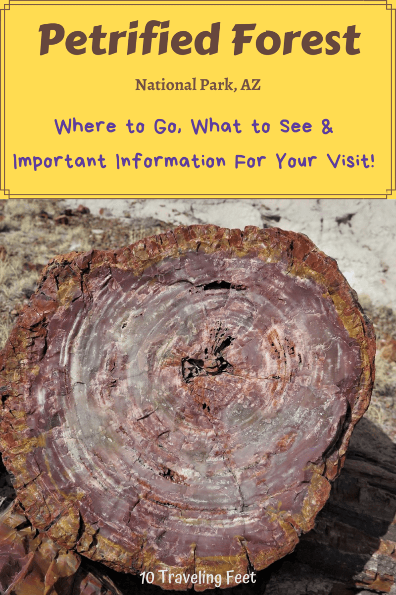 Petrified Forest Top Things to Do, Arizona Pin