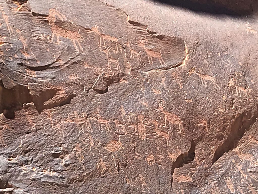 Ancient animal drawings at Sand Island Petroglyph Panel, Utah