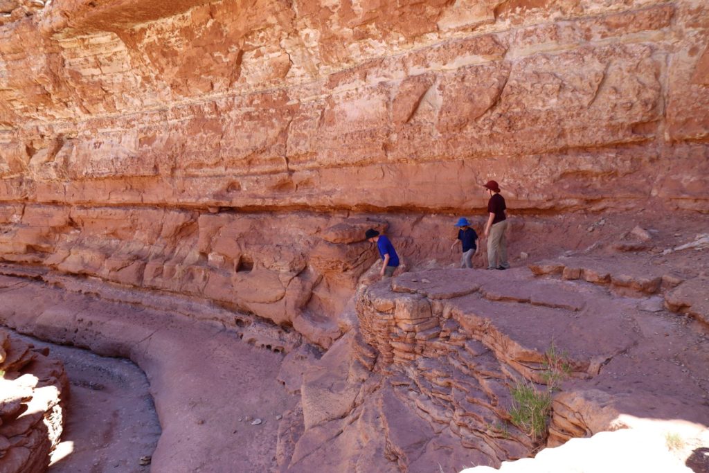 Cathedral Wash Trail, AZ