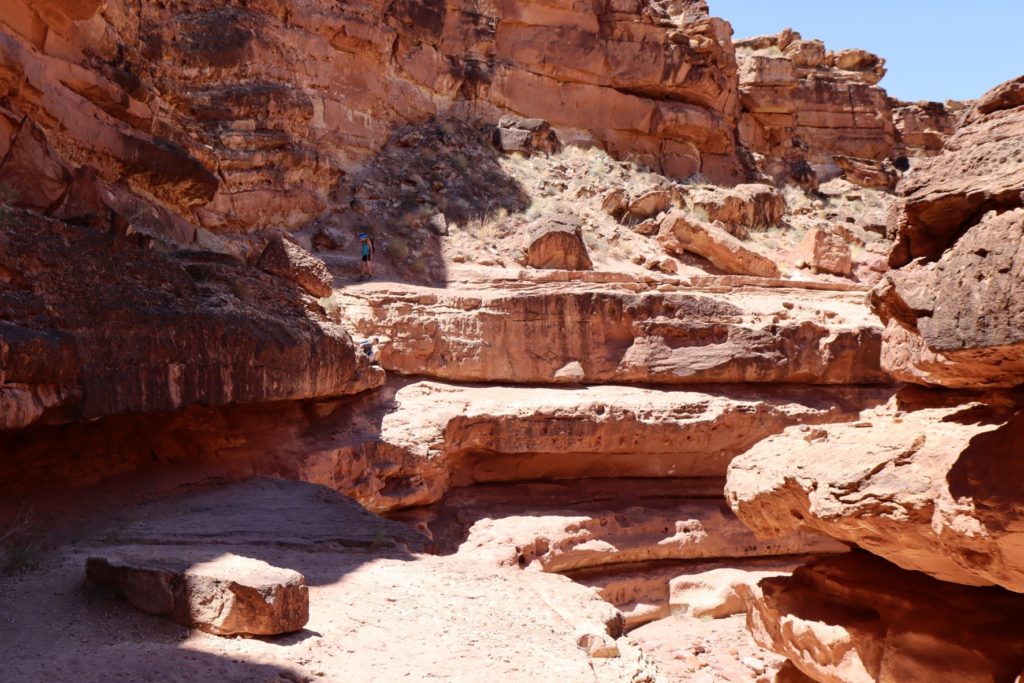 Cathedral Wash Trail, AZ