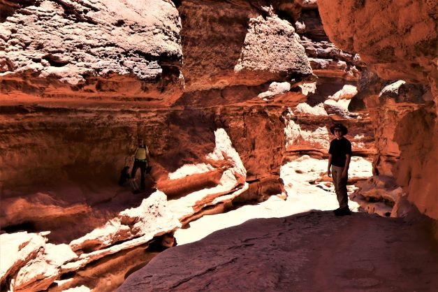 Cathedral Wash Trail, AZ