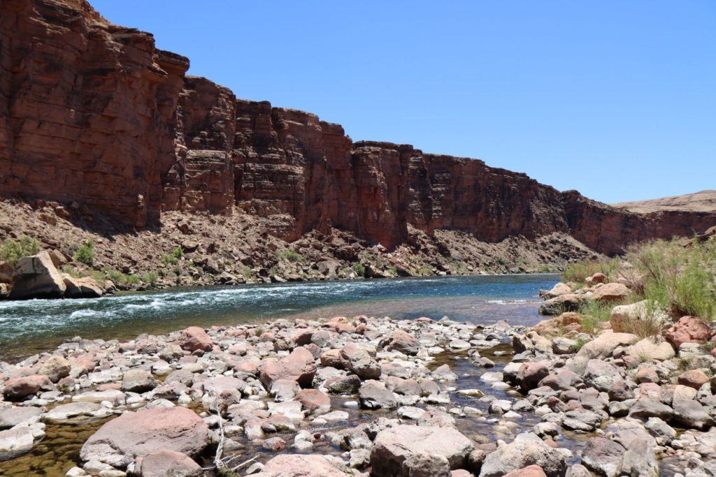 Colorado River at Cathedral Wash