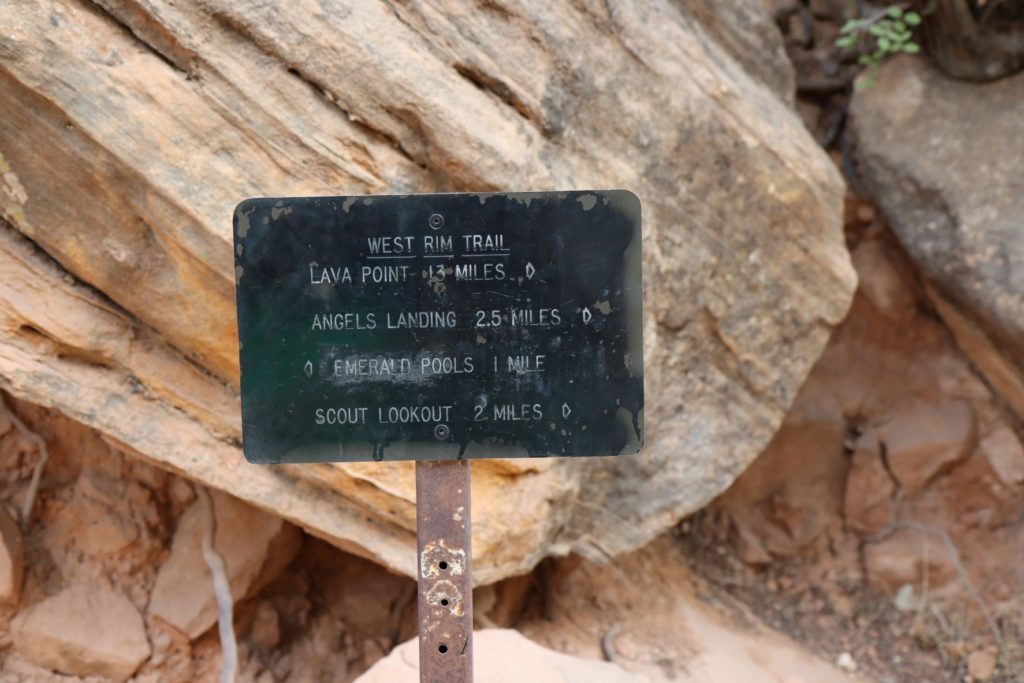 Scout Lookout - Zion National Park
