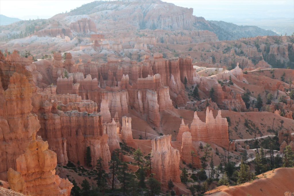 Bryce Canyon National Park in the early morning light - Utah