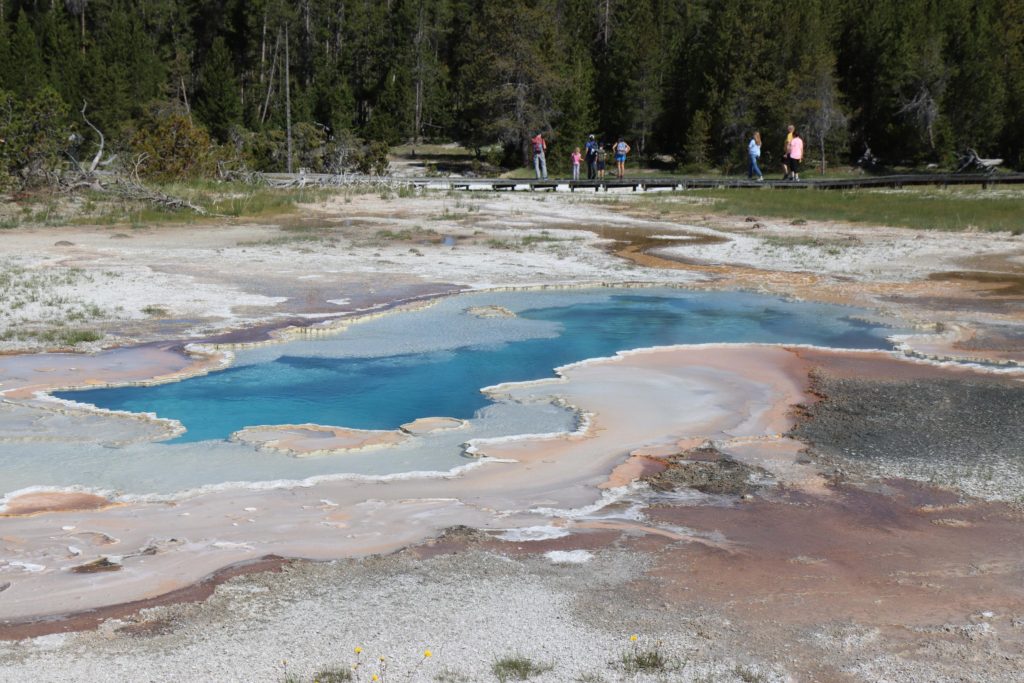 Doublet pool - Turquoise and crystal clear - Yellowstone, Wyoming