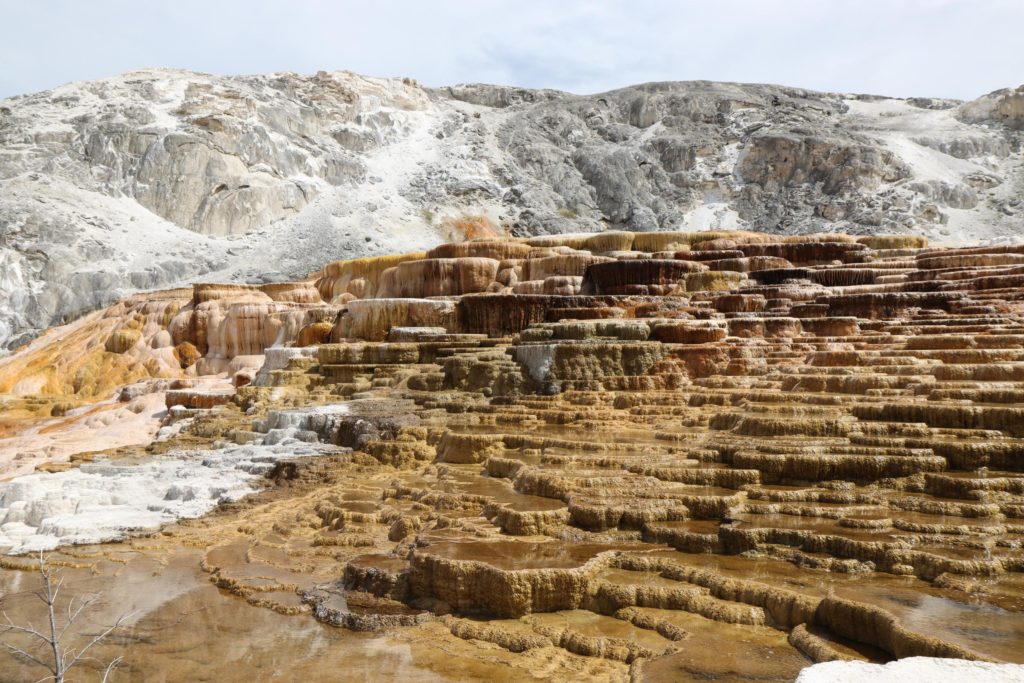 Bizarre Chocolate brown shelf formations at Mammoth Hot Springs - Yellowstone things to do - Wyoming