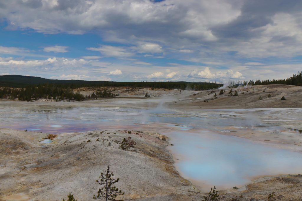 Gorgeous pastel colors at Norris Geyser Basin - steaming, barren landscape view - Yellowstone, Wyoming