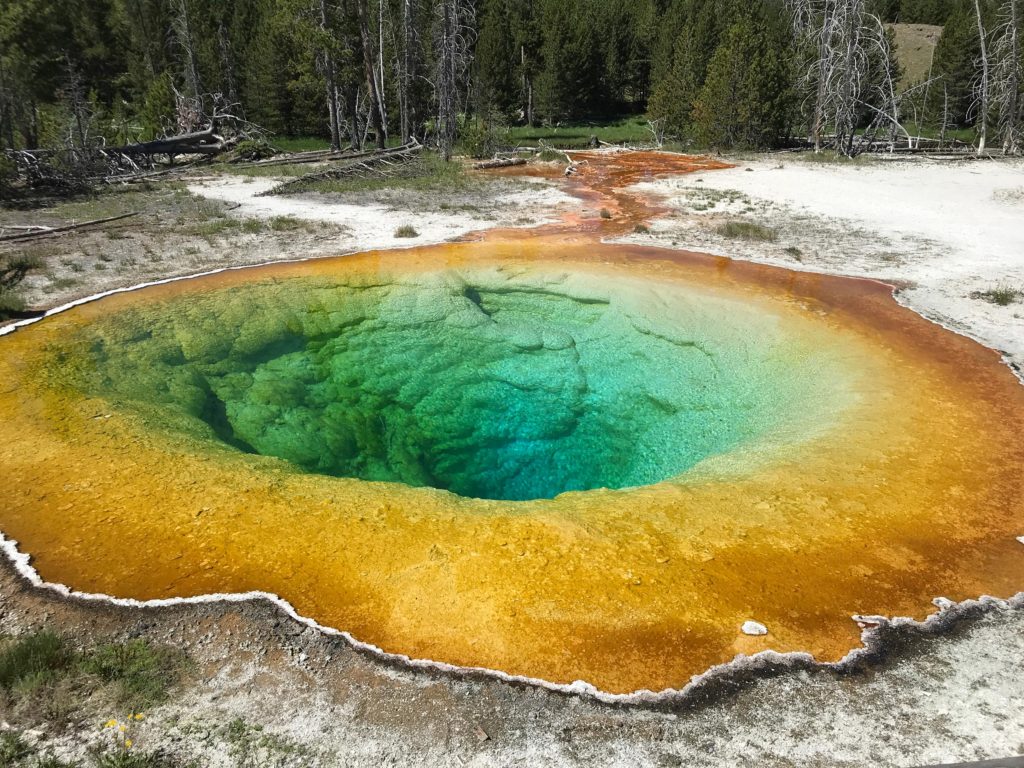 Morning Glory Pool - Gorgeous green and orange colors - Yellowstone itinerary - Wyoming