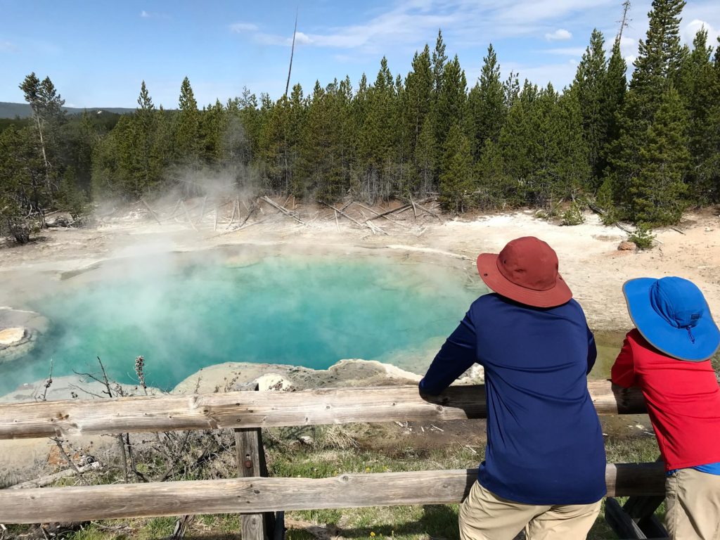Picturesque view of Emerald Spring - Norris Geyser Basin - Yellowstone, Wyoming